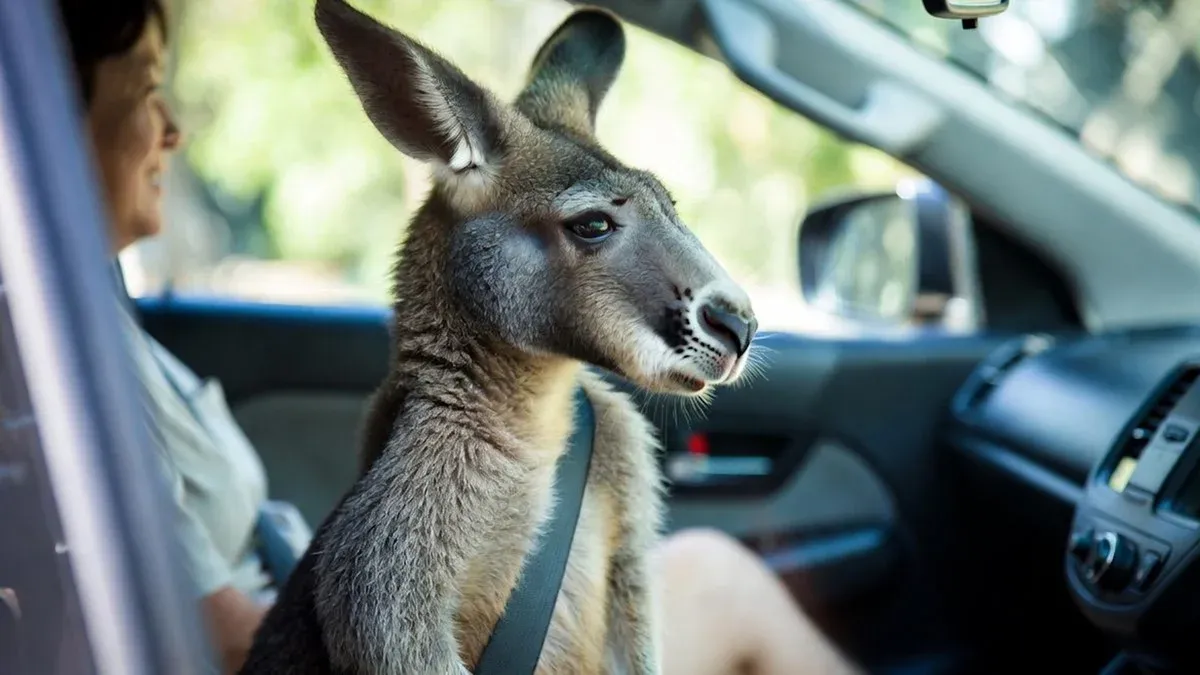 Multas estranhas pelo mundo: comer ao volante dá multa